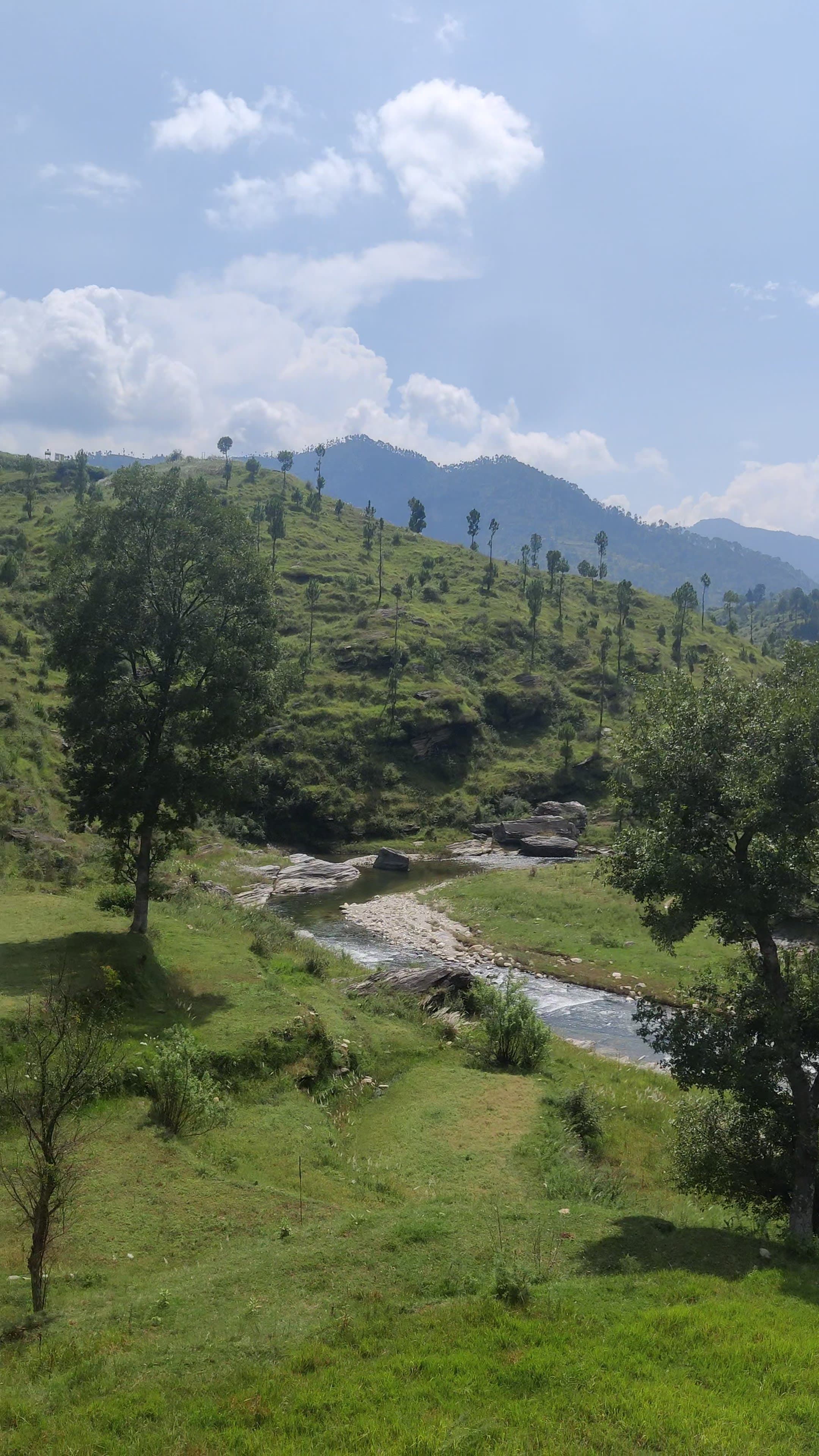 20 Nali River-Side Property for Sale — Centrally Located Between Chitai, Jageshwar & Kasar Devi, Almora